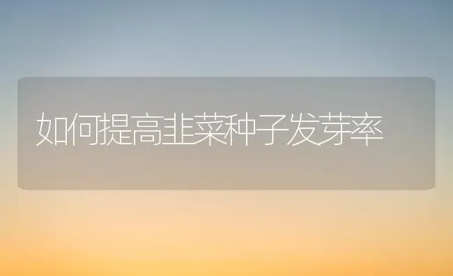 如何提高韭菜种子发芽率 | 蔬菜种植
