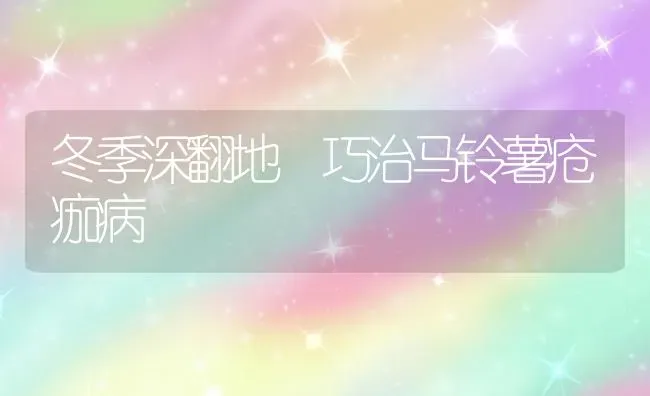 冬季深翻地 巧治马铃薯疮痂病 | 粮油作物种植