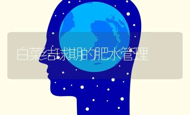 白菜结球期的肥水管理 | 蔬菜种植