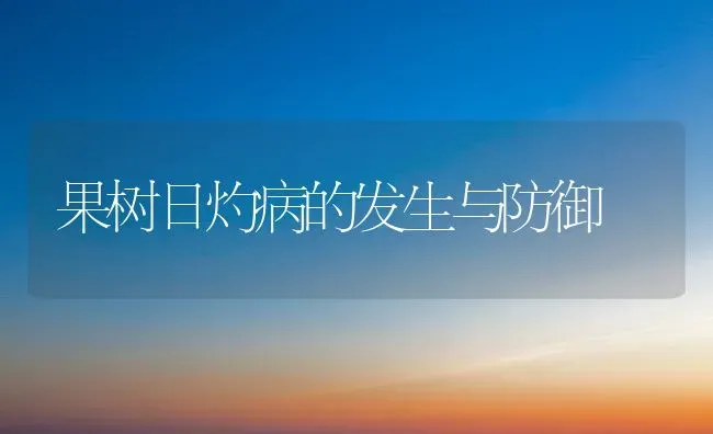 果树日灼病的发生与防御 | 瓜果种植