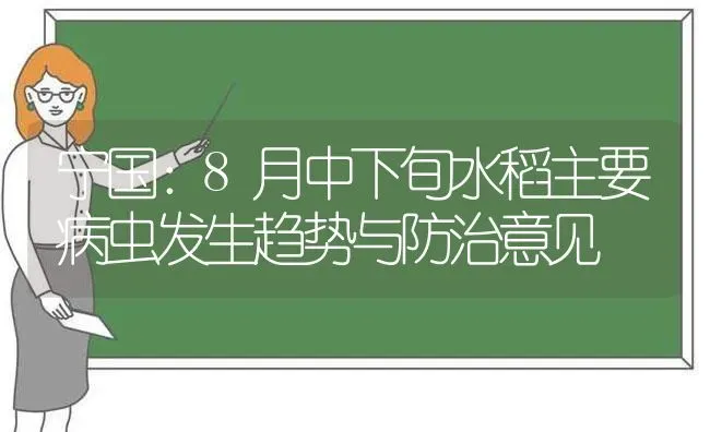 宁国：8月中下旬水稻主要病虫发生趋势与防治意见 | 粮油作物种植