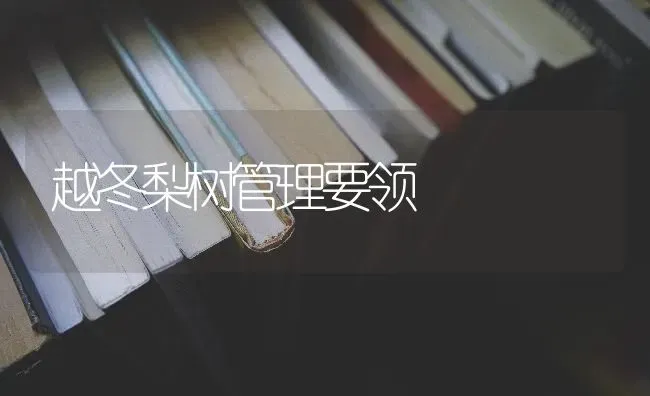 越冬梨树管理要领 | 瓜果种植