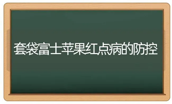 套袋富士苹果红点病的防控 | 瓜果种植