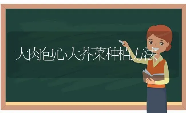 大肉包心大芥菜种植方法 | 植物种植百科