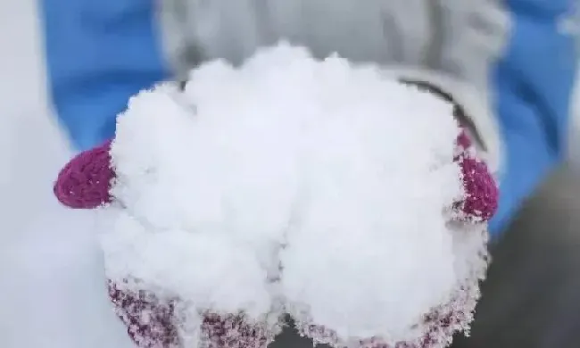 植物浇水|雪水浇花好不好（下雪化的水浇花有什么好处）