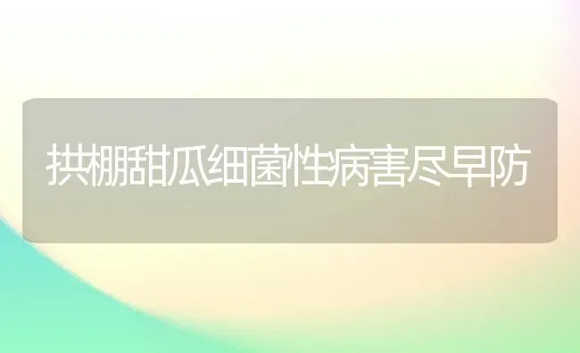 拱棚甜瓜细菌性病害尽早防 | 瓜果种植