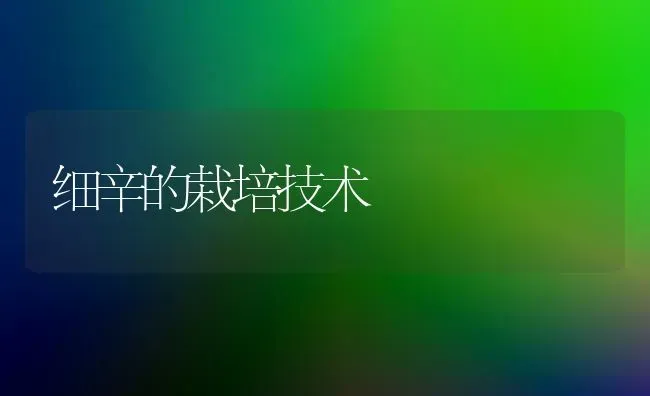 细辛的栽培技术 | 瓜果种植