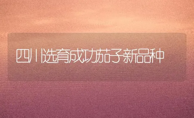 四川选育成功茄子新品种 | 蔬菜种植