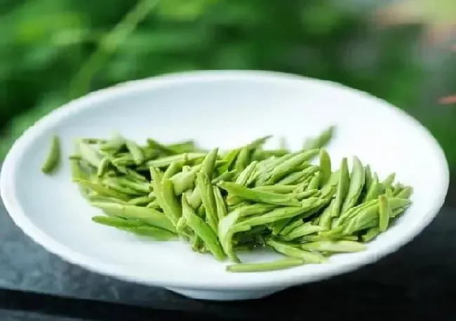 食用常识|湄潭翠芽属于什么茶