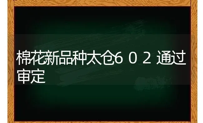 棉花新品种太仓602通过审定 | 粮油作物种植