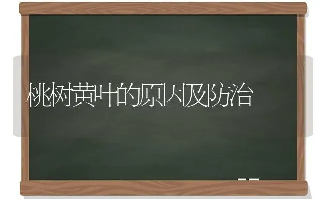 桃树黄叶的原因及防治 | 瓜果种植