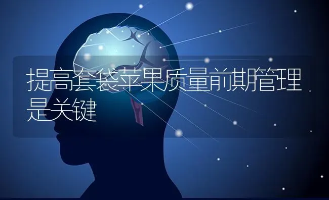 提高套袋苹果质量前期管理是关键 | 瓜果种植