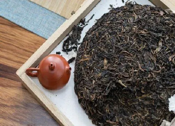 植物泡水|普洱茶属于什么类型的茶叶（普洱茶类型特点及产区分布）
