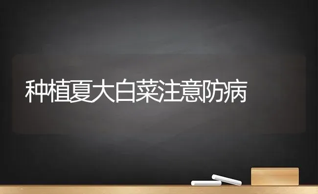 种植夏大白菜注意防病 | 植物种植百科