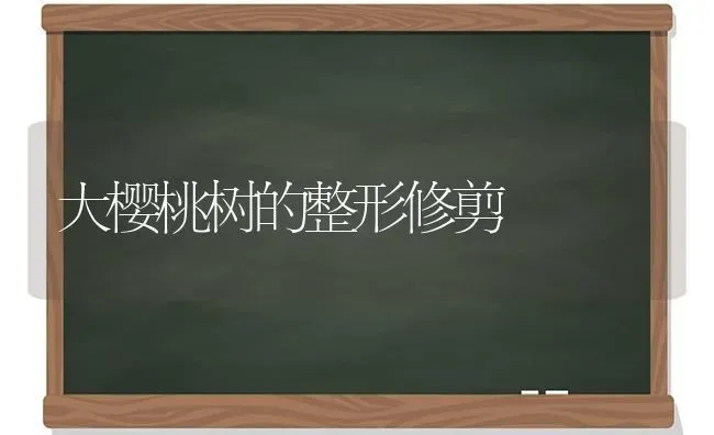 大樱桃树的整形修剪 | 瓜果种植