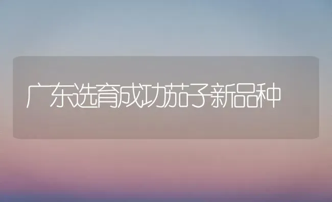 广东选育成功茄子新品种 | 蔬菜种植