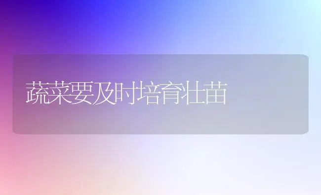 蔬菜要及时培育壮苗 | 蔬菜种植