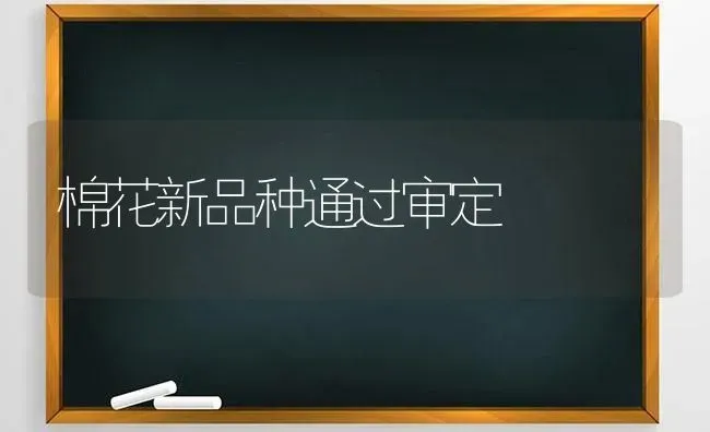 棉花新品种通过审定 | 粮油作物种植