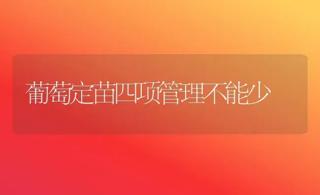 葡萄定苗四项管理不能少 | 瓜果种植