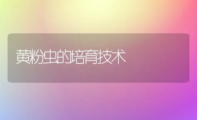 甜瓜蔓枯病发生与防治技术 | 瓜果种植