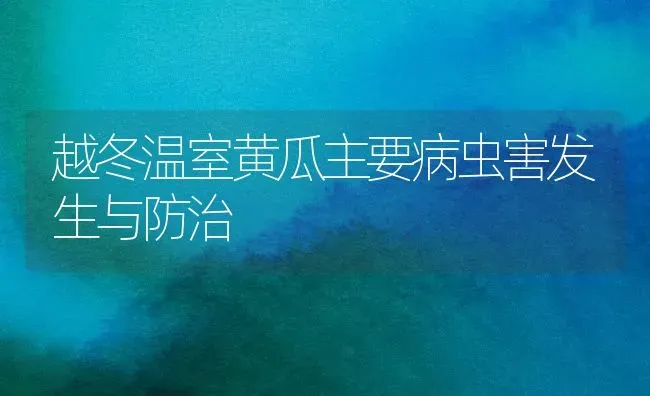 越冬温室黄瓜主要病虫害发生与防治 | 种植病虫害防治