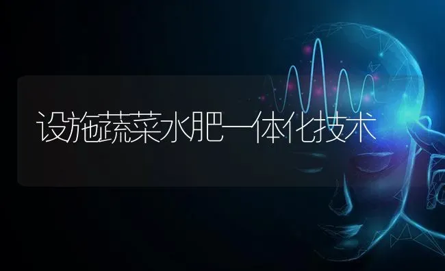设施蔬菜水肥一体化技术 | 蔬菜种植