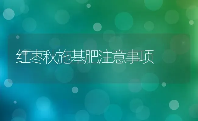 红枣秋施基肥注意事项 | 瓜果种植