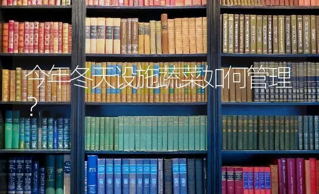 今年冬天设施蔬菜如何管理？ | 蔬菜种植