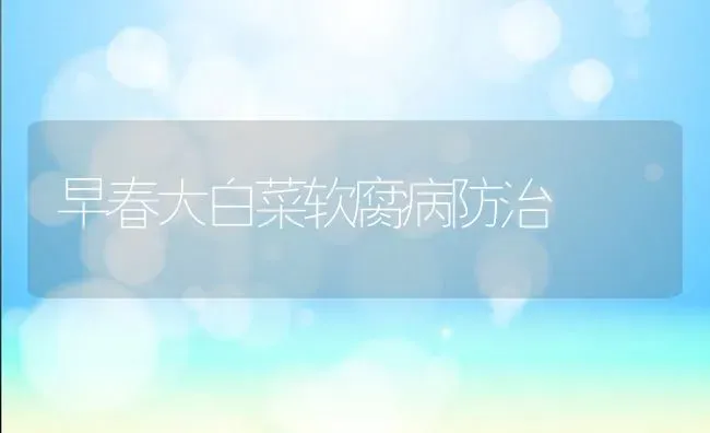 早春大白菜软腐病防治 | 蔬菜种植