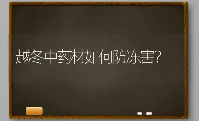 越冬中药材如何防冻害？ | 药材种植