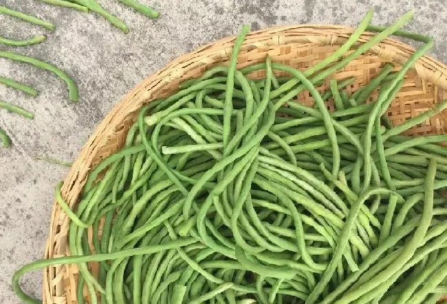 食用科普|干豆角用热水泡还是冷水泡好吃（需要泡多长时间能炒菜）