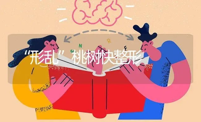 “形乱”桃树快整形 | 瓜果种植