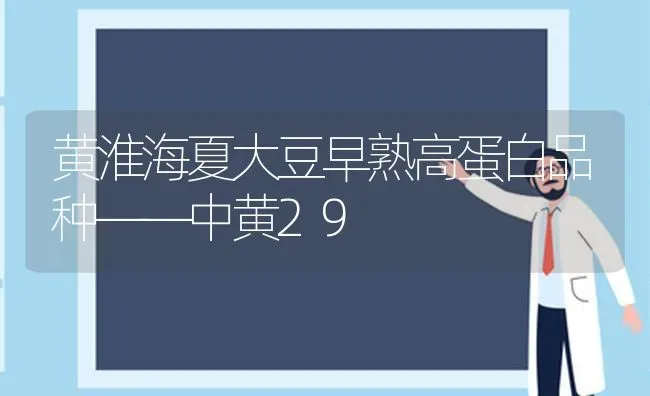 黄淮海夏大豆早熟高蛋白品种——中黄29 | 粮油作物种植