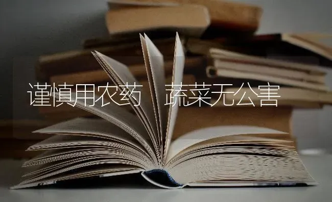 谨慎用农药 蔬菜无公害 | 蔬菜种植