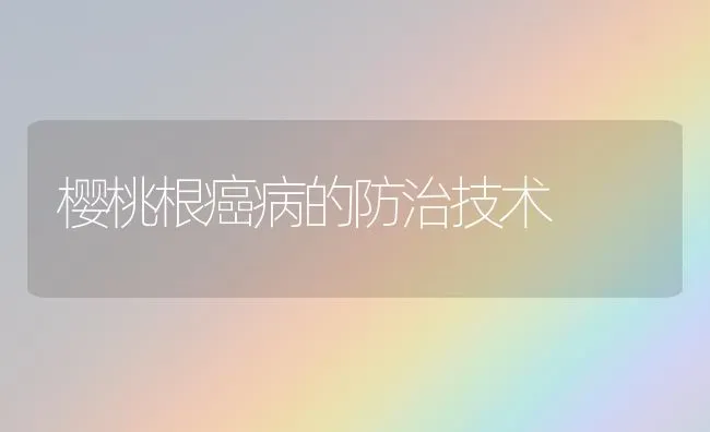 樱桃根癌病的防治技术 | 瓜果种植
