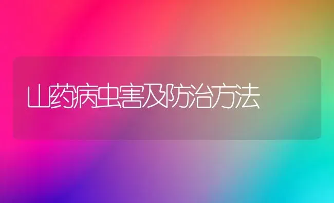 山药病虫害及防治方法 | 种植病虫害防治