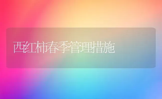 西红柿春季管理措施 | 蔬菜种植