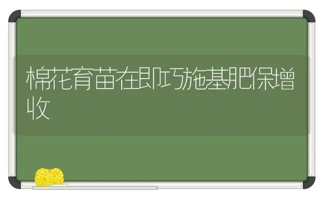 棉花育苗在即巧施基肥保增收 | 粮油作物种植