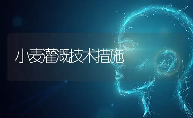 小麦灌溉技术措施 | 粮油作物种植