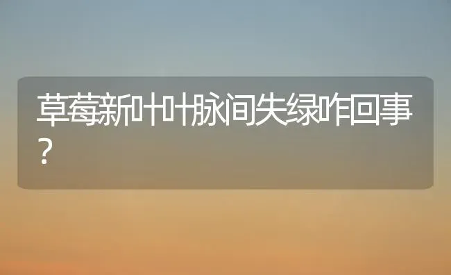 草莓新叶叶脉间失绿咋回事？ | 瓜果种植