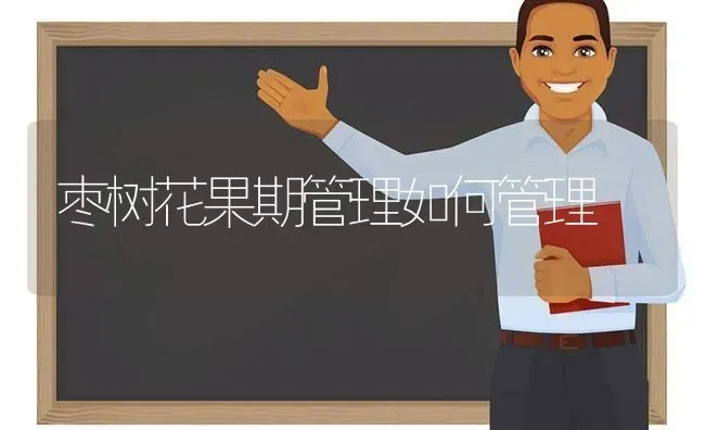 枣树花果期管理如何管理 | 瓜果种植
