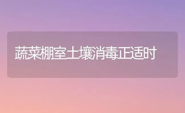 蔬菜棚室土壤消毒正适时 | 蔬菜种植