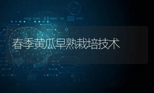 春季黄瓜早熟栽培技术 | 蔬菜种植