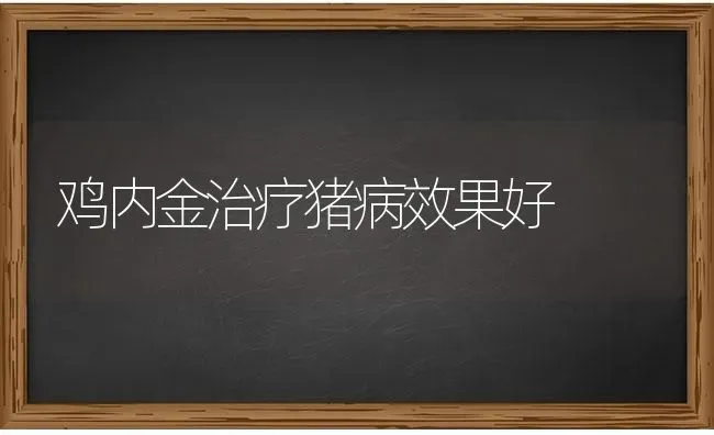 鸡内金治疗猪病效果好 | 瓜果种植