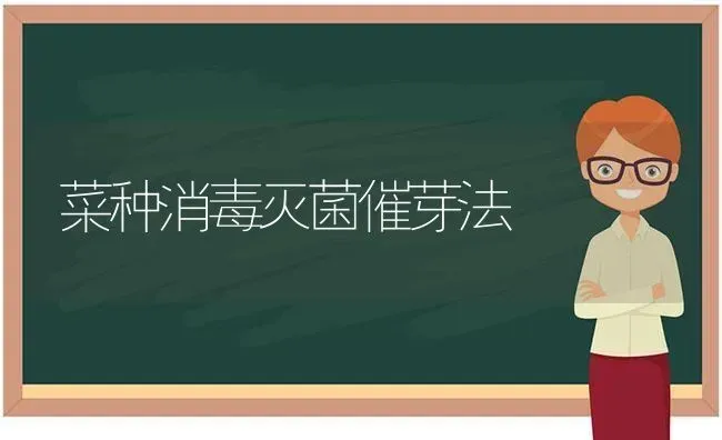 菜种消毒灭菌催芽法 | 蔬菜种植