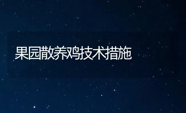 果园散养鸡技术措施 | 瓜果种植