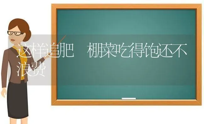 这样追肥 棚菜吃得饱还不浪费 | 蔬菜种植