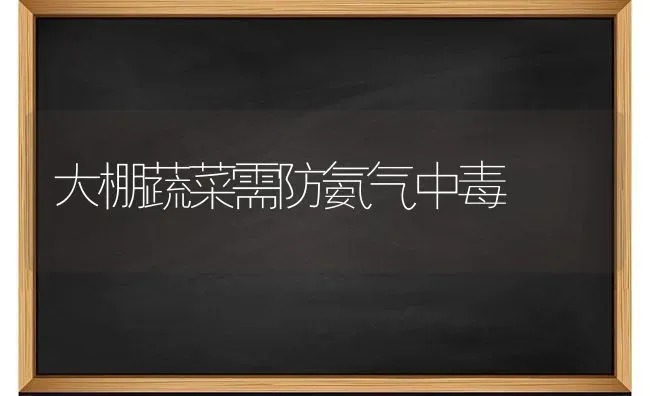 大棚蔬菜需防氨气中毒 | 蔬菜种植