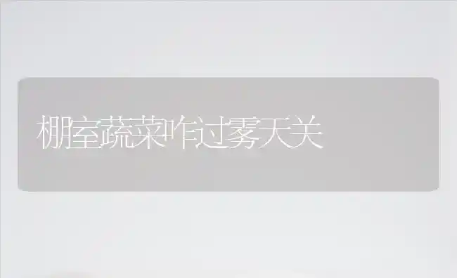 棚室蔬菜咋过雾天关 | 蔬菜种植