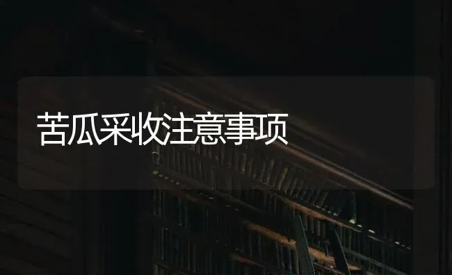 苦瓜采收注意事项 | 蔬菜种植